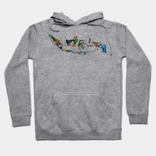 Spirograph Patterned Indonesia Provinces Map Hoodie